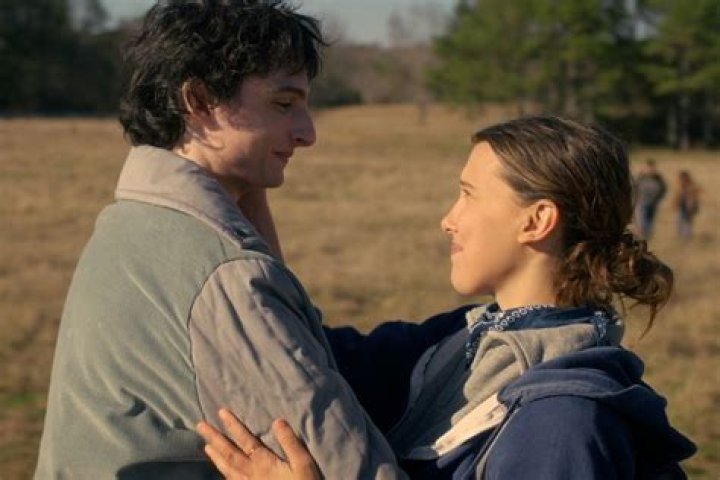 Alison Saves Scott & He Kills The Beast — Season 5 Finale Recap – Hollywood Life