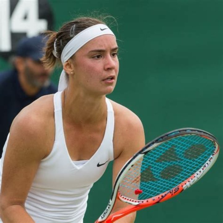 Anhelina Kalinina Height, Weight, Age, Boyfriend, Facts, Biography