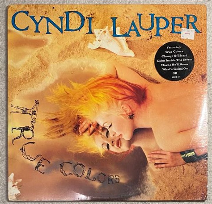 Cyndi Lauper's The True Colors Tour Will Hit The Road