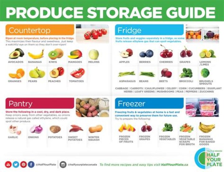 How to Safely Store Fruit to Keep It Fresh and Tasty
