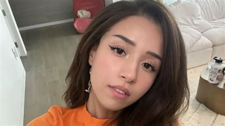 Is Pokimane Expecting A Baby With Kevin Kim?
