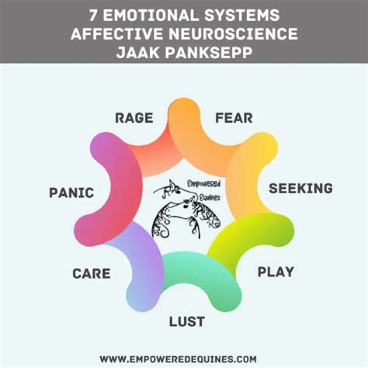 Jaak Panksepp - Bio, Age, Wiki, Facts and Family