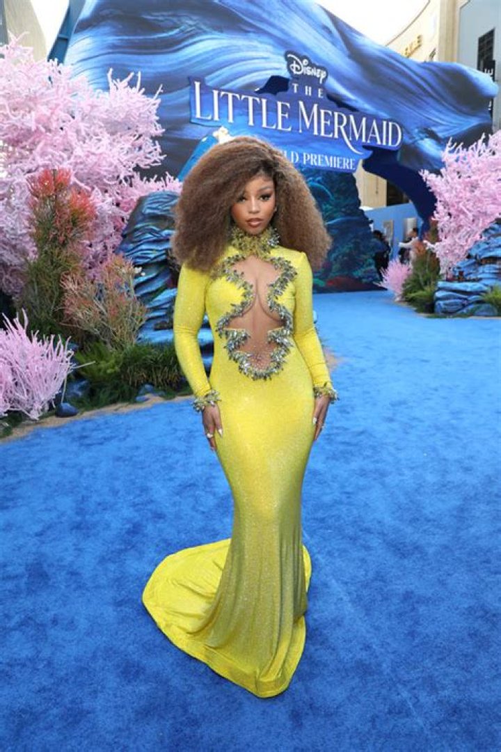 Looks Just Like ‘The Little Mermaid’ – Hollywood Life