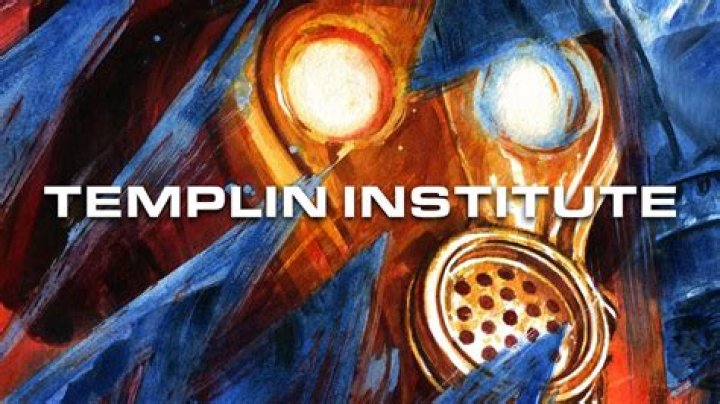 The Templin Institute video statistics