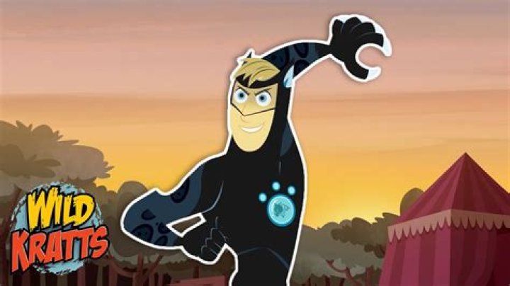 Wild Kratts - 9 Story net worth, income and estimated earnings of Youtuber channel